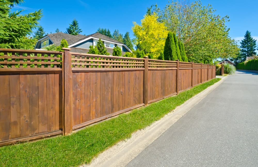 Arch - Closed board fence cw trellis and capping